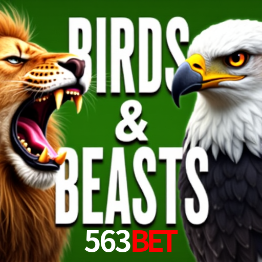 Game Statistics 563bet